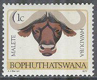 Bophuthatswana – M    1 C x Stamdjur – Buffel i Malete-Stammen, 1 kpl **