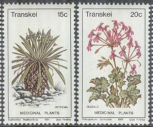 Transkei – M   88-91 Läkeväxter 2 bla Leonotis leonurus, 4 kpl **