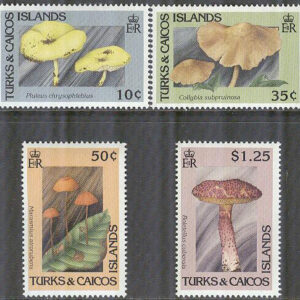 Turks & Caicos Islands – M 1009, 1012-1013, 1016 Svampar, 4 olika **