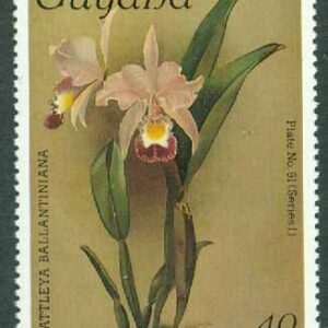 Guyana – M 1654 Orkidéer, 40 C **