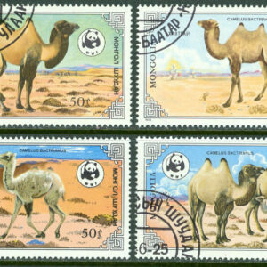 Mongoliet – M 1707-1710 WWF Naturskydd, kameler, 4 kpl stpl