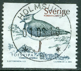 F 2238 Tofsvipa. HOLMSUND 01.08.10  (AC/Vb)