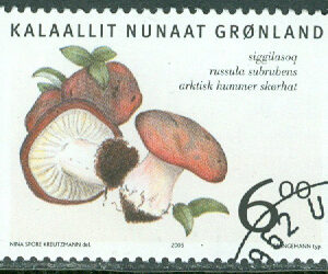 Grönland – F  428 Grönländska svampar, 6.00 kr stpl