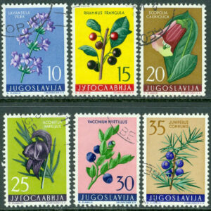 Jugoslavien – M  882-887 Jugoslavisk flora III, 6 ol stpl