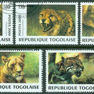 Togo – M 2991-2995 Stora kattdjur från hela världen, 5 ol stpl
