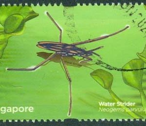 Singapore – M 1995 Livet vid dammen. Neogerris parvulus (Vattenlöpare), 5 $ stpl