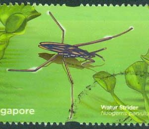 Singapore – M 1995 Livet vid dammen. Neogerris parvulus (Vattenlöpare), 5 $ stpl