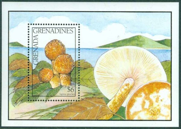 Grenada Grenadines - M BL 224 Svampar, Lepiota spiculata. Block **