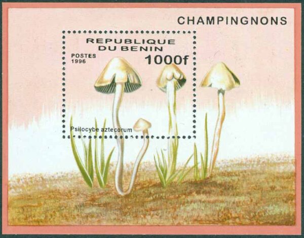 Benin - M Bl  22 Svampar, Psilocybe aztecorum. Block **