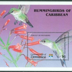 Dominica – M BL 211 Frim.utst. GENOVA 92. Fekolibri och Russelia equisetiformis, block **