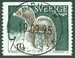 F 1898 Lantdjur 3. Prakt BJURHOLM 19.09.95, ktt  (AC/Å)