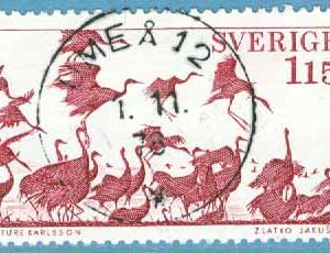 F 1046 Prakt UMEÅ 12   1.11.78