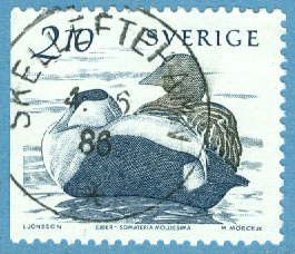 F 1393 Prakt SKELLEFTEHAMN 4.6.86