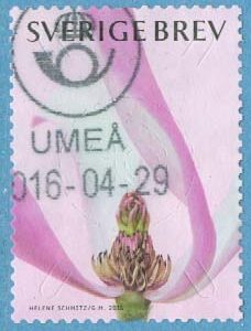 F 3067 Prakt 2016-04-29