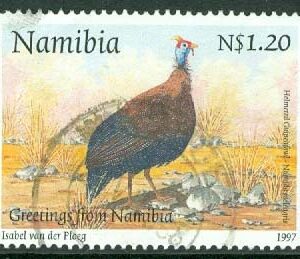 Namibia – M  836 Fåglar – Hjälmpärlhöna, 1 kpl stpl