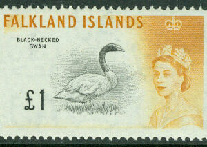 Falkland Islands – M  137 Elisabeth II, Svarthalsad svan, 1 £ **