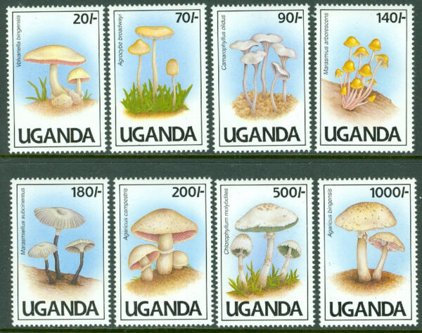 Uganda - M  950-957 Svampar, 8 kpl **