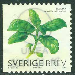 F 2732 Prakt UMEÅ 2011-01-16