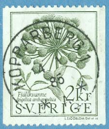 F 1293 Prakt KOPPARBERG 1  14.1.85