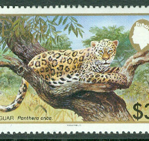Belize – M  723 WWF, naturskydd. Jaguar, 3 $ **