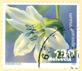 Schweiz – M 2300 Grönsaksblommor, paprika, 130 C stpl
