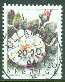 F 1843 Prakt ULLARED 20.10.94