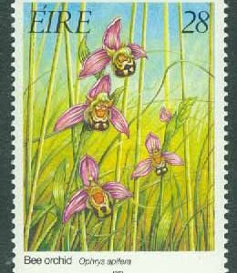 Irland – M  821 Blommor – Orkidéer, Bi-Ofrys, 28 P **