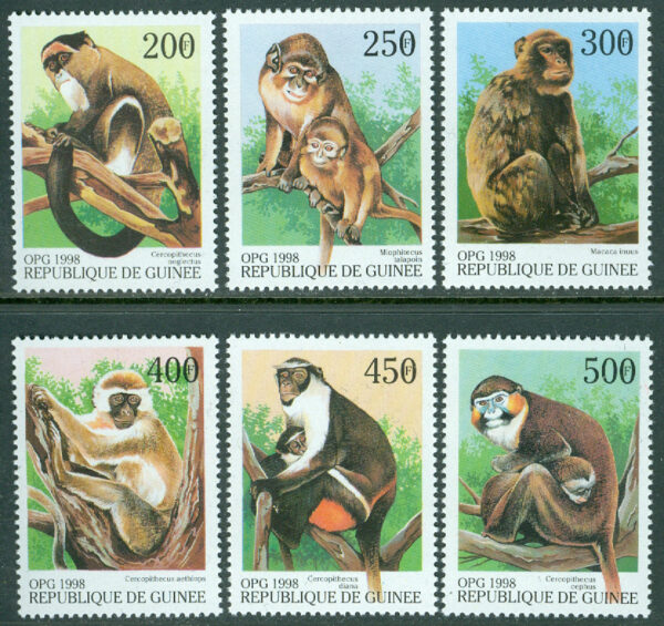 Guinea - M 1952-1957 Apor från hela världen, 6 kpl **