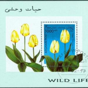 Afghanistan – M BL  93 Tulpanodling, block stpl