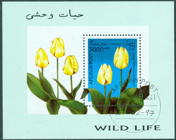 Afghanistan - M BL  93 Tulpanodling, block stpl