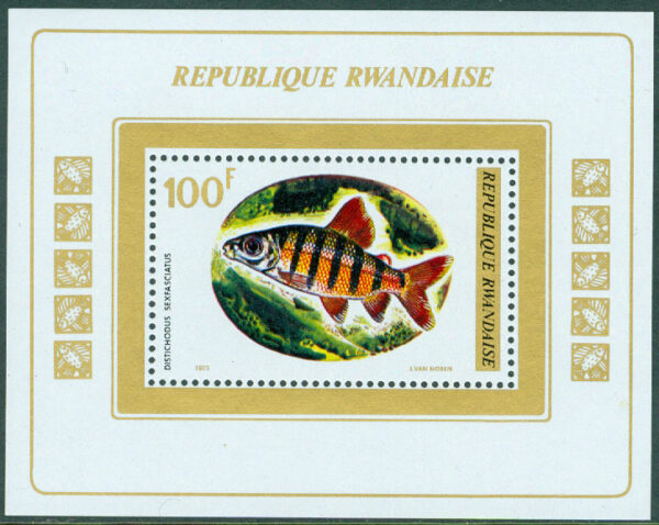 Rwanda - M BL  33 A Fiskar, Sexbandad laxkarp, block **