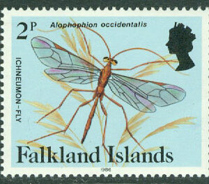 Falkland Islands – M  391 II Alophophion occidentalis, 1 kpl **