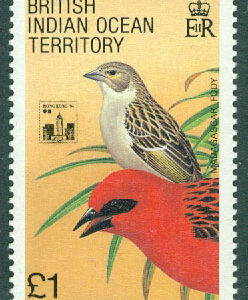 British Indian Ocean Ter. – M  105 Fåglar, rödfody, 1 £ **