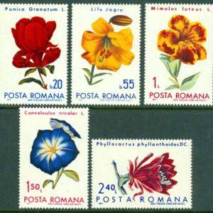 Rumänien – M 2440, 2442-2445 Blommor från Rumäniens bot. Trädgård, 5 ol **