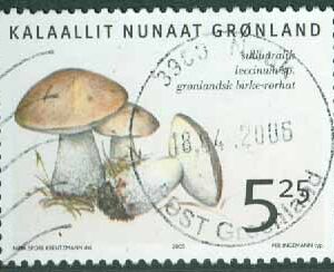 Grönland – F  427 Grönländska svampar, 5.25 kr stpl