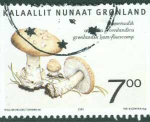 Grönland – F  429 Grönländska svampar, 7.00 kr stpl