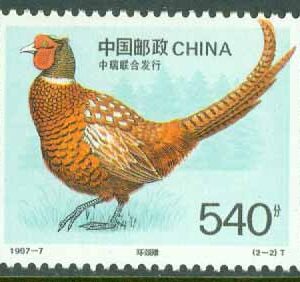 Kina – M 2801 Fasan, 540 F **