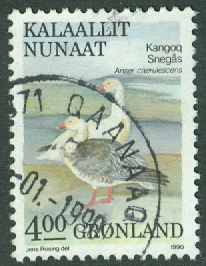 Grönland – F  199 Fåglar IV, snögäss, 4.00 kr stpl