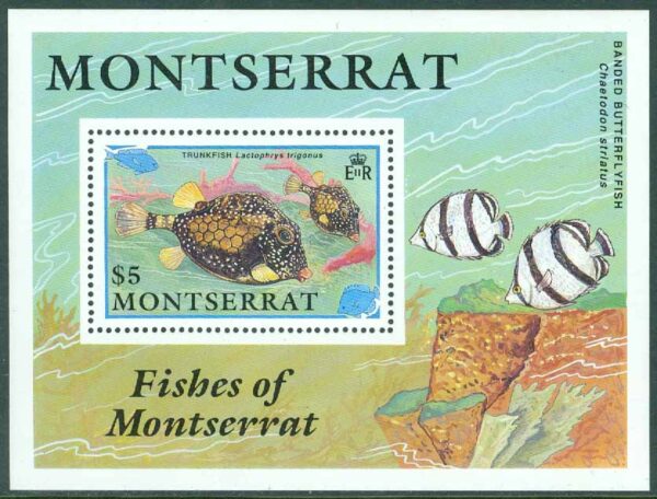 Montserrat - M BL  60 Montserrats fiskar, block **