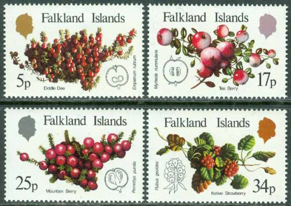 Falkland Islands - M  382-385 Frukter, 4 kpl **