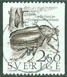 F 1442 Läderbagge. UMEÅ 5  28.9.91  (AC/Vb)