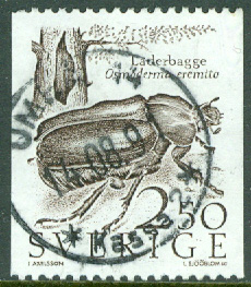 F 1442 Läderbagge. UMEÅ 14  14.08.91  (AC/Vb)