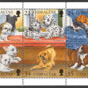 Gibraltar – M  749-754 Hundar, valpar, block kpl **