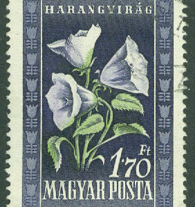 Ungern – M 1116 Ungersk flora. Karpaterklocka, 1.70 Ft stpl