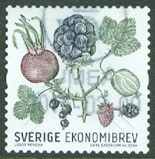 F 3015 Bland bär och blad, Ekonomibrev. Prakt UMEÅ 2015-02-09  (AC/Vb)