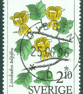 F 1473 Botaniska trädgårdar. ÖJEBYN 25.06.96  (BD/Nb)