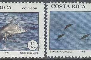Costa Rica – M 1417-1418 Delfiner, 2 kpl **