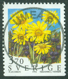 F 1903 Fjällblommor. Prakt/Lyx UMEÅ P 18.02.97 OBS! ÅRTALET UPPOCHNED