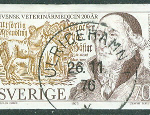 F  921 Veterinärmedicin. Prakt ULRICEHAMN 26.11.76  (P/Vg)