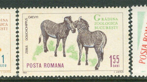 Rumänien – M 2335-2336, 2461 Lejon – Zebra – Brunbjörn, 2 utg 3 olika **